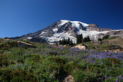 Mount Rainier