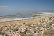 Antelope Island S.P.