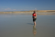 Antelope Island S.P.