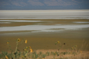 Antelope Island S.P.