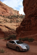 Capitol Reef N.P.