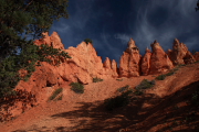 Bryce Canyon N.P.