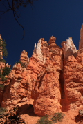 Bryce Canyon N.P.