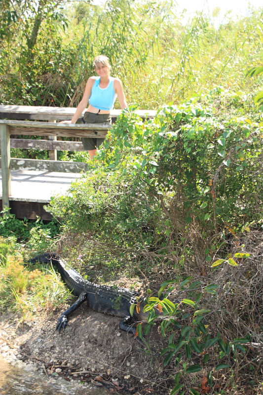 FOTO 200908810384L_everglades_NP.jpg