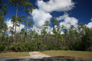 Everglades N.P.